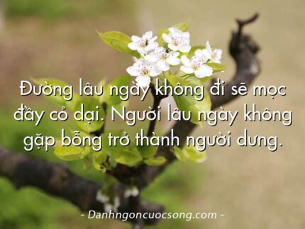 Đường lâu ngày không đi sẽ mọc đầy cỏ dại. Người lâu ngày không gặp bỗng trở thành người dưng.