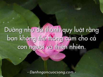Dường như đã thành quy luật rằng bạn không thể thông cảm cho cả con người và thiên nhiên.