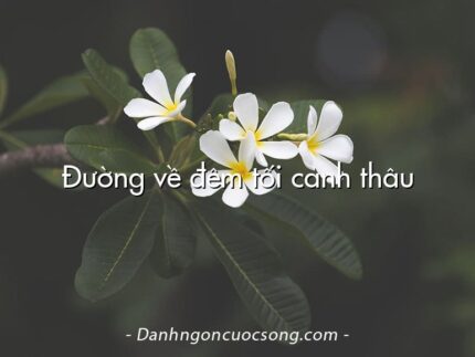 Đường về đêm tối canh thâu