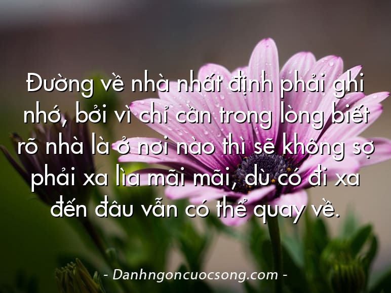 Đường về nhà nhất định phải ghi nhớ, bởi vì chỉ cần trong lòng biết rõ nhà là ở nơi nào thì sẽ không sợ phải xa lìa mãi mãi, dù có đi xa đến đâu vẫn có thể quay về.