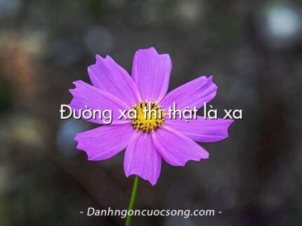Đường xa thì thật là xa