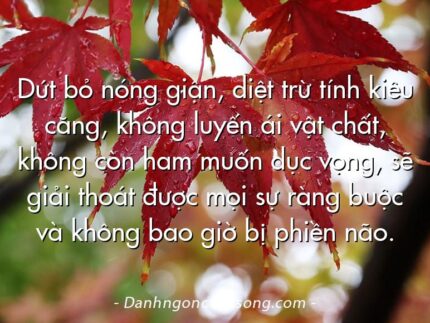 Dứt bỏ nóng giận, diệt trừ tính kiêu căng, không luyến ái vật chất, không còn ham muốn dục vọng, sẽ giải thoát được mọi sự ràng buộc và không bao giờ bị phiền não.
