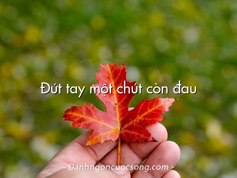 Đứt tay một chút còn đau