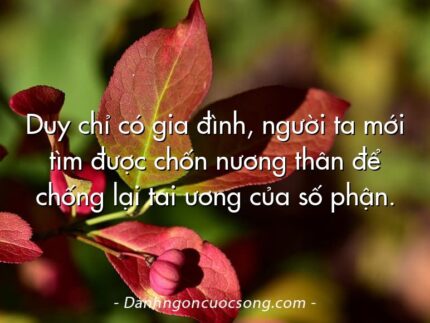 Duy chỉ có gia đình, người ta mới tìm được chốn nương thân để chống lại tai ương của số phận.