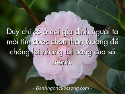 Duy chỉ có ở nơi gia đình người ta mới tìm được chốn thân thương để chống lại những tai ương của số mệnh.