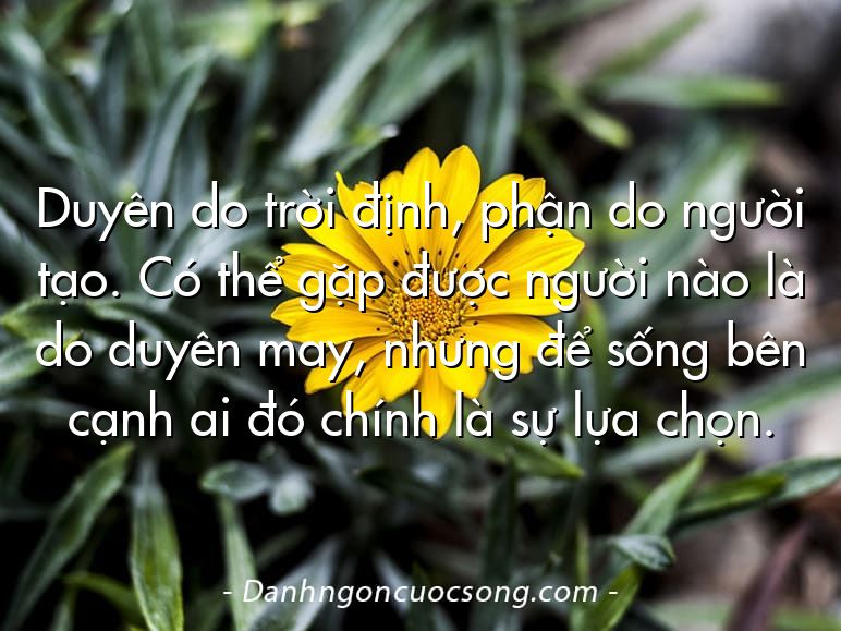 Duyên do trời định, phận do người tạo. Có thể gặp được người nào là do duyên may, nhưng để sống bên cạnh ai đó chính là sự lựa chọn.
