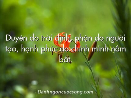 Duyên do trời định, phận do người tạo, hạnh phúc do chính mình nắm bắt.