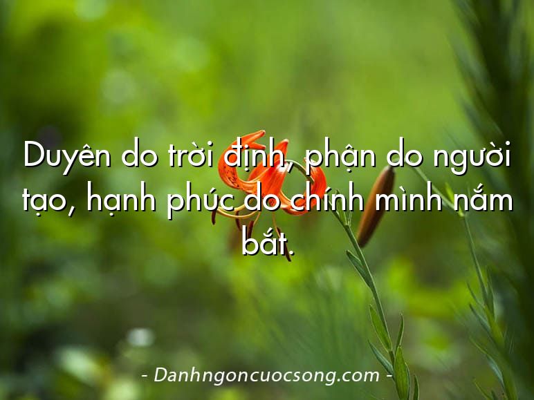 Duyên do trời định, phận do người tạo, hạnh phúc do chính mình nắm bắt.