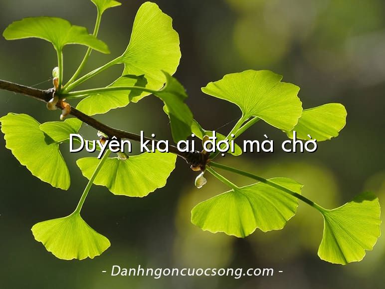 Duyên kia ai đợi mà chờ