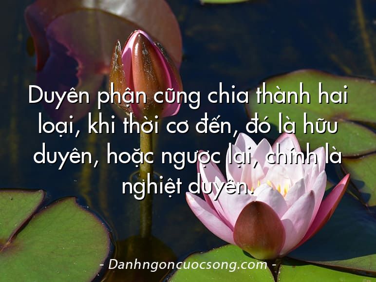 Duyên phận cũng chia thành hai loại, khi thời cơ đến, đó là hữu duyên, hoặc ngược lại, chính là nghiệt duyên.