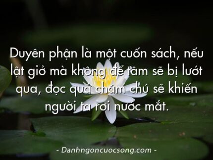 Duyên phận là một cuốn sách, nếu lật giở mà không để tâm sẽ bị lướt qua, đọc quá chăm chú sẽ khiến người ta rơi nước mắt.
