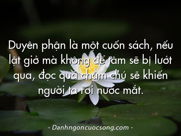Duyên phận là một cuốn sách, nếu lật giở mà không để tâm sẽ bị lướt qua, đọc quá chăm chú sẽ khiến người ta rơi nước mắt.