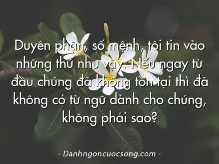 Duyên phận, số mệnh, tôi tin vào những thứ như vậy. Nếu ngay từ đầu chúng đã không tồn tại thì đã không có từ ngữ dành cho chúng, không phải sao?