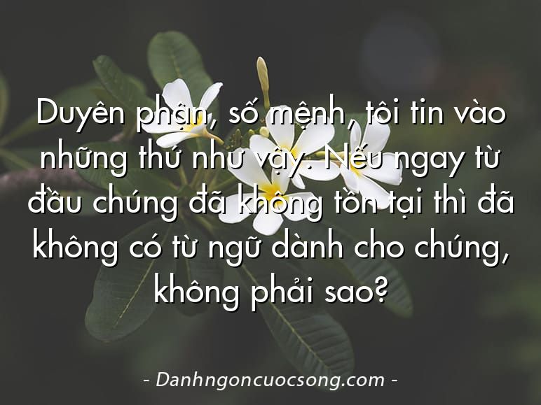 Duyên phận, số mệnh, tôi tin vào những thứ như vậy. Nếu ngay từ đầu chúng đã không tồn tại thì đã không có từ ngữ dành cho chúng, không phải sao?