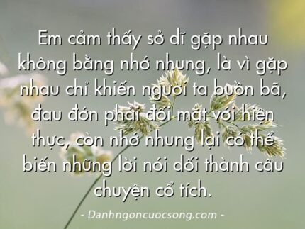 Em cảm thấy sở dĩ gặp nhau không bằng nhớ nhung, là vì gặp nhau chỉ khiến người ta buồn bã, đau đớn phải đối mặt với hiện thực, còn nhớ nhung lại có thể biến những lời nói dối thành câu chuyện cổ tích.