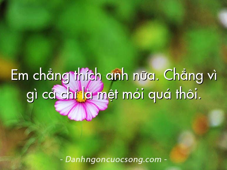 Em chẳng thích anh nữa. Chẳng vì gì cả chỉ là mệt mỏi quá thôi.