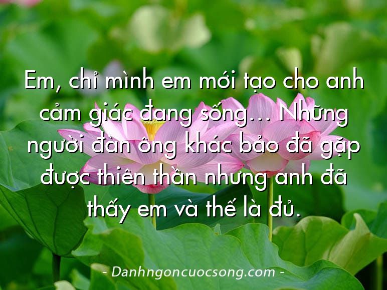 Em, chỉ mình em mới tạo cho anh cảm giác đang sống… Những người đàn ông khác bảo đã gặp được thiên thần nhưng anh đã thấy em và thế là đủ.