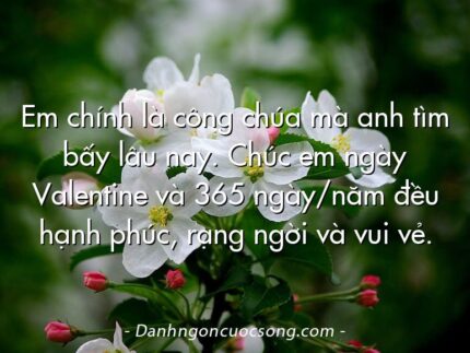 Em chính là công chúa mà anh tìm bấy lâu nay. Chúc em ngày Valentine và 365 ngày/năm đều hạnh phúc, rạng ngời và vui vẻ.