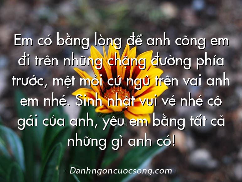 Em có bằng lòng để anh cõng em đi trên những chặng đường phía trước, mệt mỏi cứ ngủ trên vai anh em nhé. Sinh nhật vui vẻ nhé cô gái của anh, yêu em bằng tất cả những gì anh có!