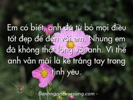 Em có biết, anh đã từ bỏ mọi điều tốt đẹp để đến với em. Nhưng em đã không thật lòng với anh. Vì thế anh vẫn mãi là kẻ trắng tay trong tình yêu.