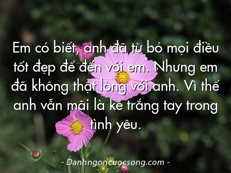 Em có biết, anh đã từ bỏ mọi điều tốt đẹp để đến với em. Nhưng em đã không thật lòng với anh. Vì thế anh vẫn mãi là kẻ trắng tay trong tình yêu.
