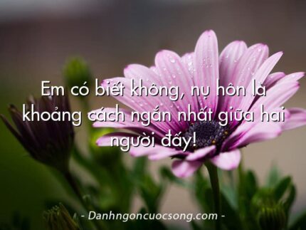 Em có biết không, nụ hôn là khoảng cách ngắn nhất giữa hai người đấy!