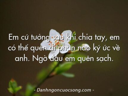Em cứ tưởng sau khi chia tay, em có thể quên đi phần nào ký ức về anh. Ngờ đâu em quên sạch.