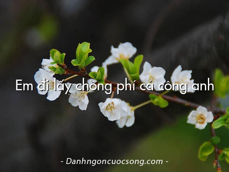 Em đi lấy chồng phí cả công anh