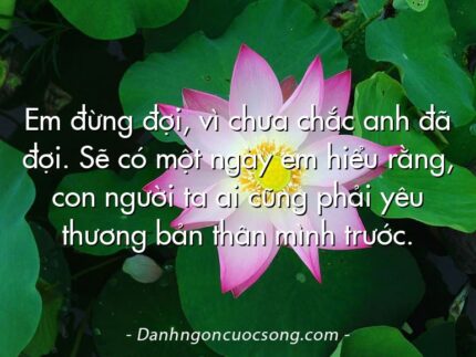 Em đừng đợi, vì chưa chắc anh đã đợi. Sẽ có một ngày em hiểu rằng, con người ta ai cũng phải yêu thương bản thân mình trước.