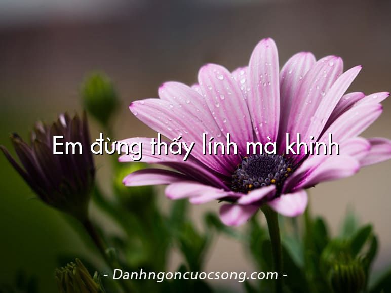 Em đừng thấy lính mà khinh