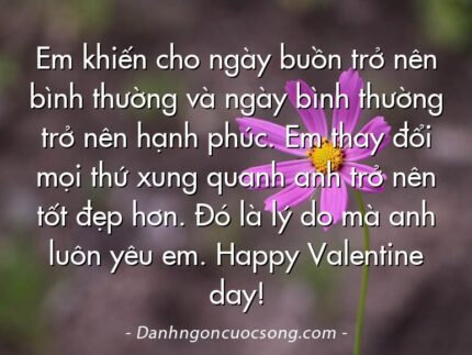 Em khiến cho ngày buồn trở nên bình thường và ngày bình thường trở nên hạnh phúc. Em thay đổi mọi thứ xung quanh anh trở nên tốt đẹp hơn. Đó là lý do mà anh luôn yêu em. Happy Valentine day!