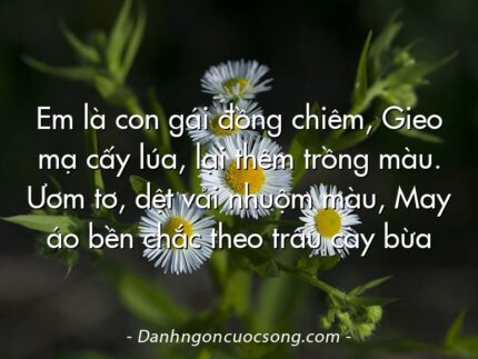 Em là con gái đồng chiêm, Gieo mạ cấy lúa, lại thêm trồng màu. Ươm tơ, dệt vải nhuộm màu, May áo bền chắc theo trâu cày bừa