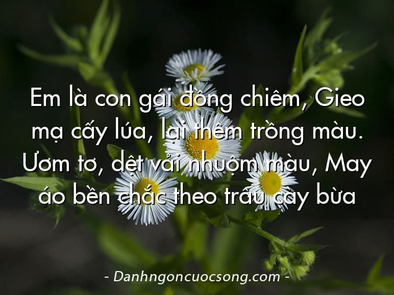 Em là con gái đồng chiêm, Gieo mạ cấy lúa, lại thêm trồng màu. Ươm tơ, dệt vải nhuộm màu, May áo bền chắc theo trâu cày bừa
