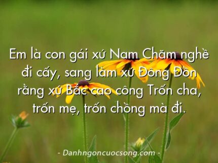 Em là con gái xứ Nam Chăm nghề đi cấy, sang làm xứ Đông Đồn rằng xứ Bắc cao công Trốn cha, trốn mẹ, trốn chồng mà đi.