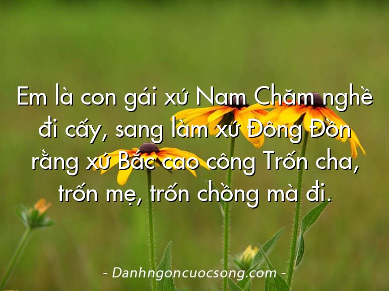 Em là con gái xứ Nam Chăm nghề đi cấy, sang làm xứ Đông Đồn rằng xứ Bắc cao công Trốn cha, trốn mẹ, trốn chồng mà đi.