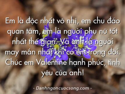 Em là độc nhất vô nhị, em chu đáo quan tâm, em là người phụ nữ tốt nhất thế gian. Và anh là người may mắn nhất khi có em trong đời. Chúc em Valentine hạnh phúc, tình yêu của anh!