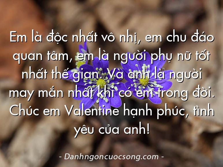 Em là độc nhất vô nhị, em chu đáo quan tâm, em là người phụ nữ tốt nhất thế gian. Và anh là người may mắn nhất khi có em trong đời. Chúc em Valentine hạnh phúc, tình yêu của anh!