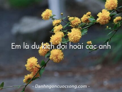 Em là du kích đợi hoài các anh
