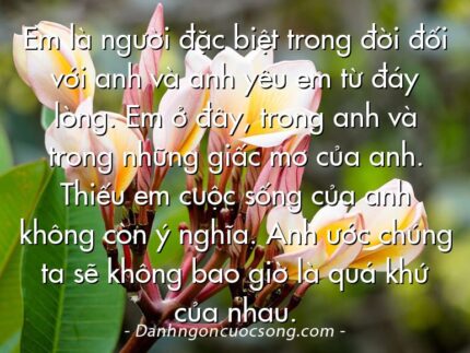 Em là người đặc biệt trong đời đối với anh và anh yêu em từ đáy lòng. Em ở đây, trong anh và trong những giấc mơ của anh. Thiếu em cuộc sống của anh không còn ý nghĩa. Anh ước chúng ta sẽ không bao giờ là quá khứ của nhau.