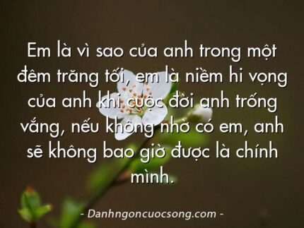 Em là vì sao của anh trong một đêm trăng tối, em là niềm hi vọng của anh khi cuộc đời anh trống vắng, nếu không nhờ có em, anh sẽ không bao giờ được là chính mình.