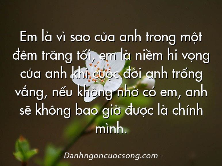 Em là vì sao của anh trong một đêm trăng tối, em là niềm hi vọng của anh khi cuộc đời anh trống vắng, nếu không nhờ có em, anh sẽ không bao giờ được là chính mình.
