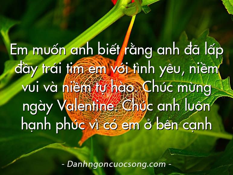 Em muốn anh biết rằng anh đã lấp đầy trái tim em với tình yêu, niềm vui và niềm tự hào. Chúc mừng ngày Valentine. Chúc anh luôn hạnh phúc vì có em ở bên cạnh