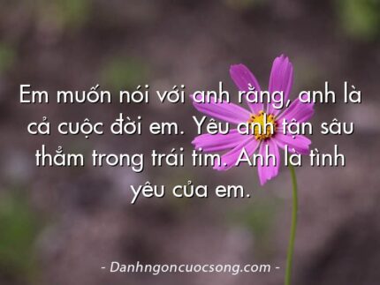 Em muốn nói với anh rằng, anh là cả cuộc đời em. Yêu anh tận sâu thẳm trong trái tim. Anh là tình yêu của em.