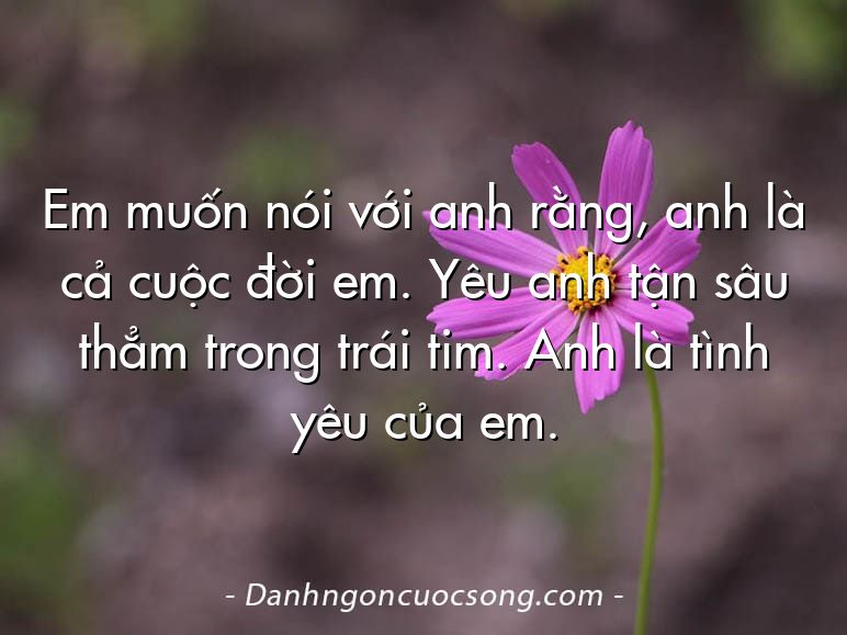 Em muốn nói với anh rằng, anh là cả cuộc đời em. Yêu anh tận sâu thẳm trong trái tim. Anh là tình yêu của em.