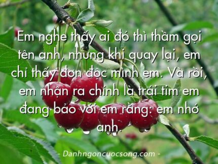 Em nghe thấy ai đó thì thầm gọi tên anh, nhưng khi quay lại, em chỉ thấy đơn độc mình em. Và rồi, em nhận ra chính là trái tim em đang bảo với em rằng: em nhớ anh.