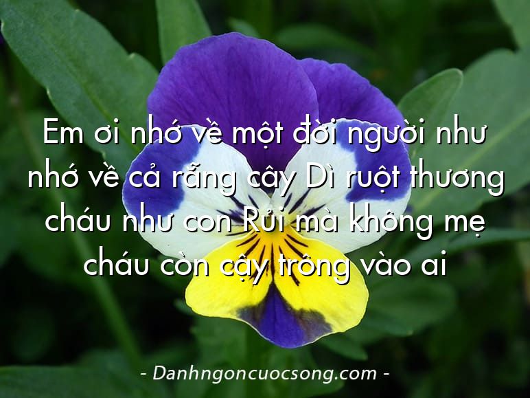 Em ơi nhớ về một đời người như nhớ về cả rẵng cây Dì ruột thương cháu như con Rủi mà không mẹ cháu còn cậy trông vào ai