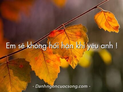 Em sẽ không hối hận khi yêu anh !