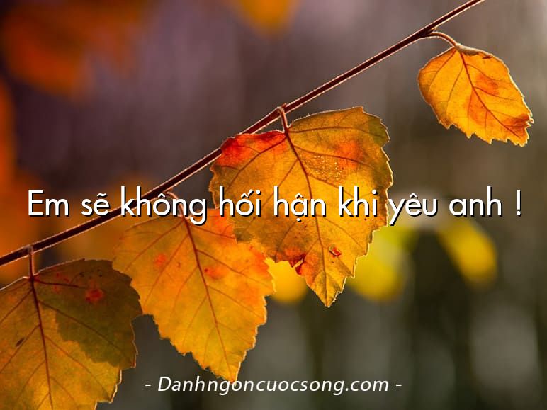 Em sẽ không hối hận khi yêu anh !