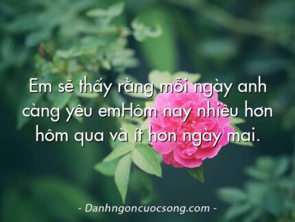 Em sẽ thấy rằng mỗi ngày anh càng yêu emHôm nay nhiều hơn hôm qua và ít hơn ngày mai.