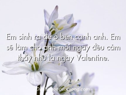 Em sinh ra để ở bên cạnh anh. Em sẽ làm cho anh mỗi ngày đều cảm thấy như là ngày Valentine.